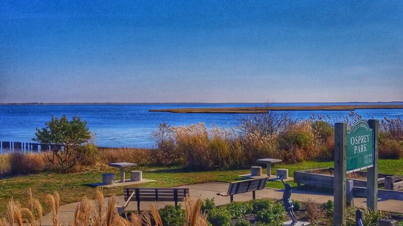 Osprey Park - Mastic Beach, NY