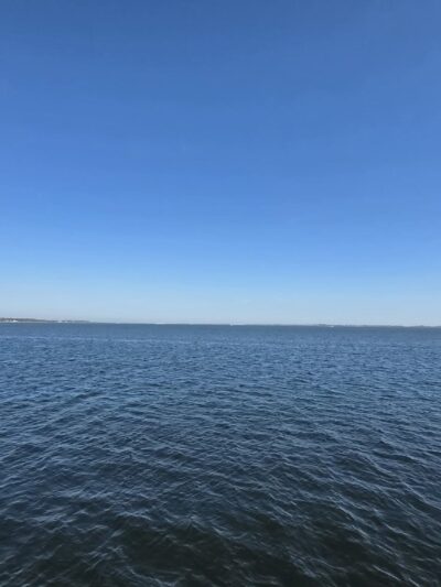 Osprey Park - Mastic Beach, NY