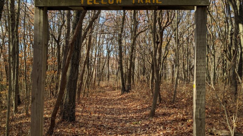 Cheesequake State Park - Matawan, NJ