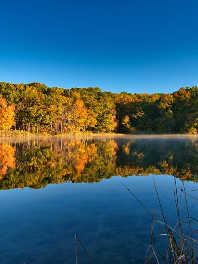 Cheesequake State Park - Matawan, NJ