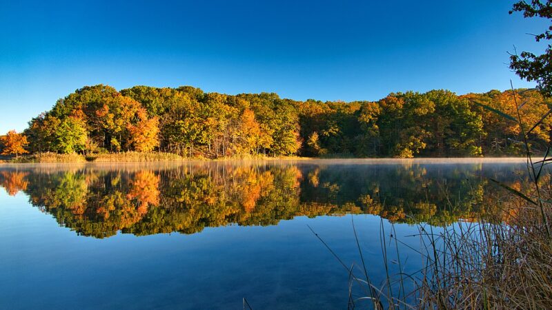 Cheesequake State Park - Matawan, NJ