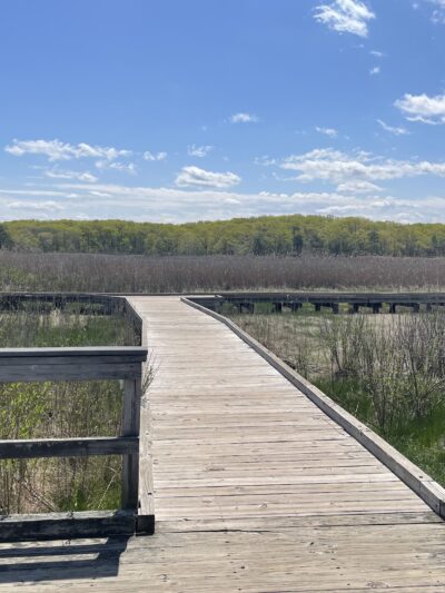 Cheesequake State Park - Matawan, NJ