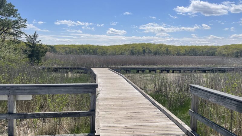 Cheesequake State Park - Matawan, NJ