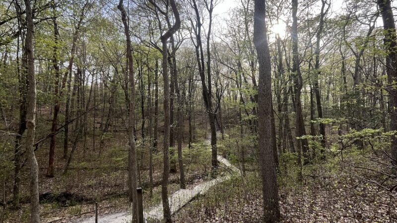 Cheesequake State Park Trailhead - Matawan, NJ