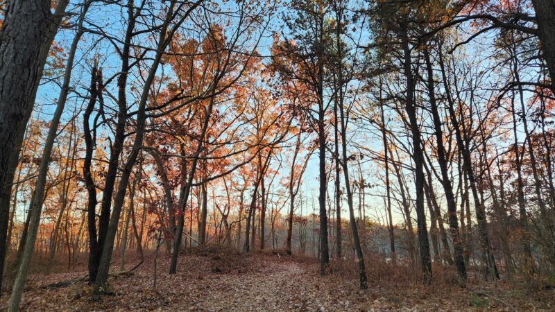 Cheesequake State Park Trailhead - Matawan, NJ