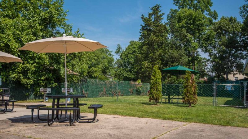 Chestnut Court Apartments - Matawan, NJ