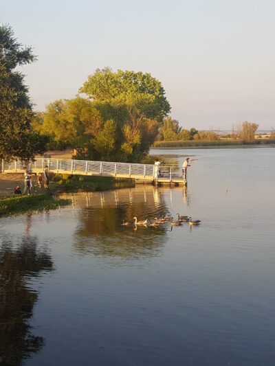 Mather Regional Park - Mather, CA