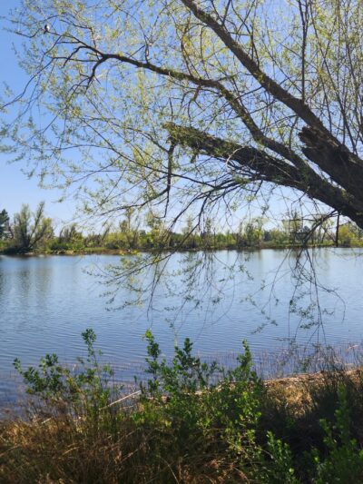 Mather Regional Park - Mather, CA