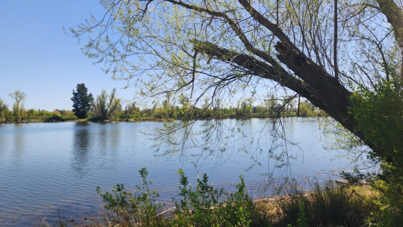 Mather Regional Park - Mather, CA