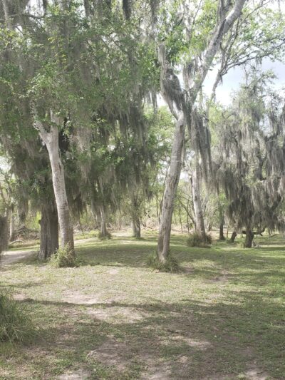 La Fruta Park - Mathis, TX