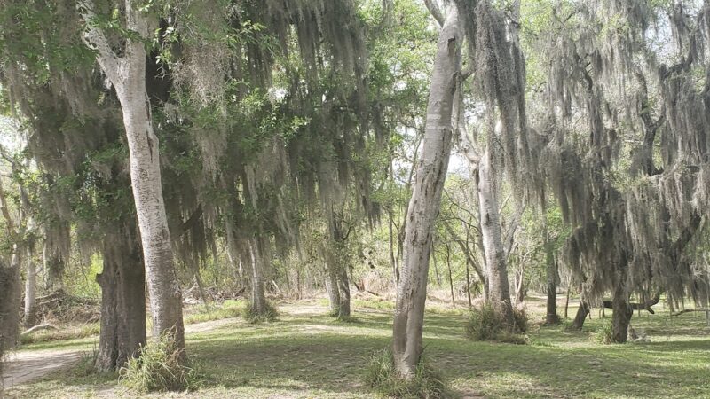 La Fruta Park - Mathis, TX