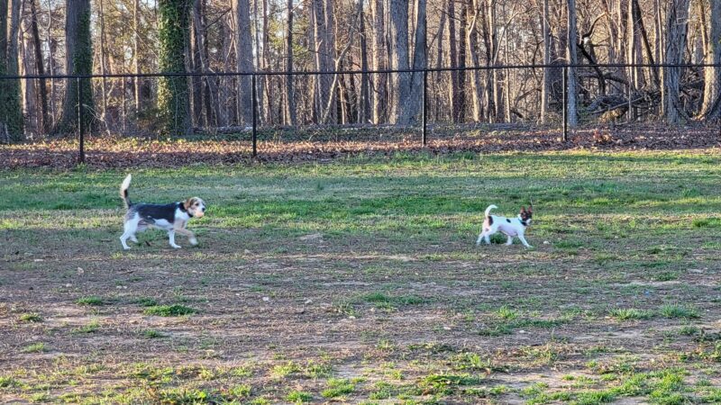 Purser-Hulsey Park - Dog Park Entrance - Matthews, NC