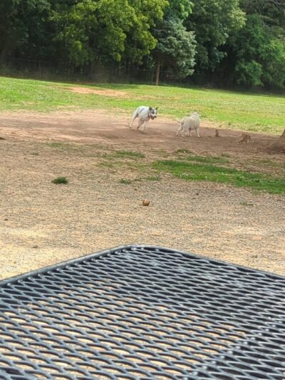 Purser-Hulsey Park - Dog Park Entrance - Matthews, NC