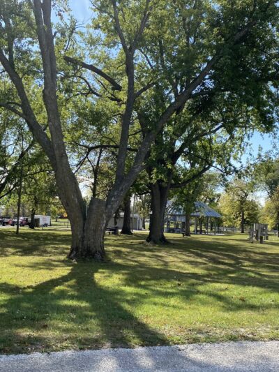 Maxwell City Park - Maxwell, IA