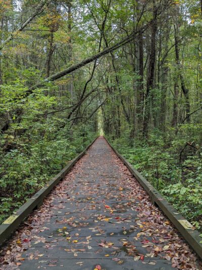 Estell Manor Park - Mays Landing, NJ