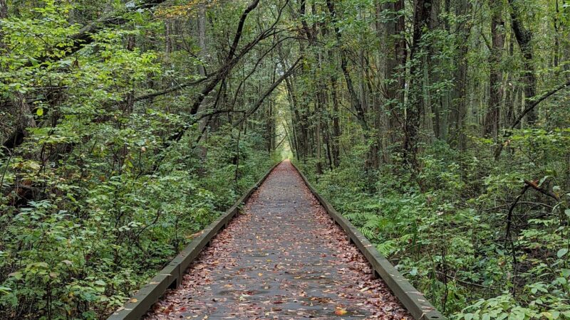 Estell Manor Park - Mays Landing, NJ