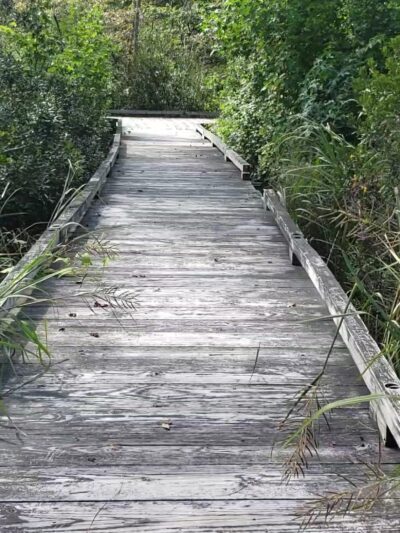 Estell Manor Park - Mays Landing, NJ