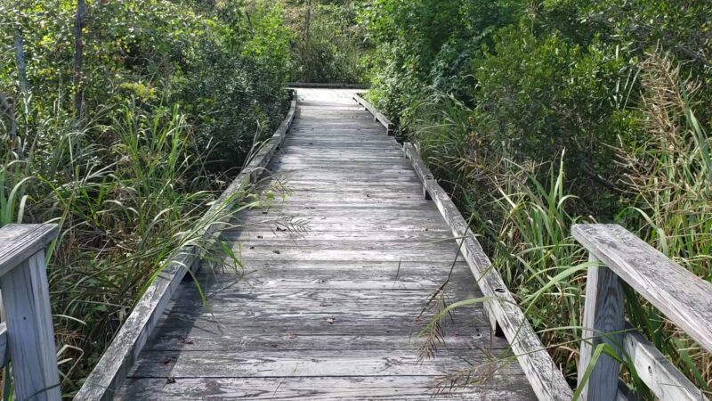 Estell Manor Park - Mays Landing, NJ