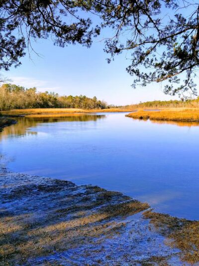 Estell Manor Park - Mays Landing, NJ