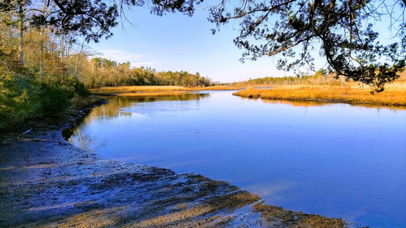 Estell Manor Park - Mays Landing, NJ