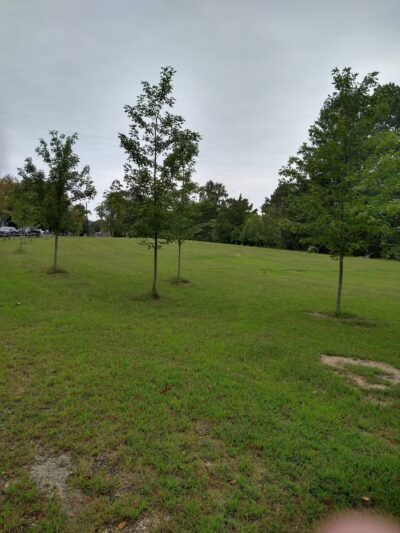 Mizpah Park - Mays Landing, NJ