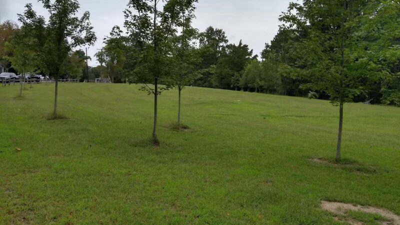 Mizpah Park - Mays Landing, NJ