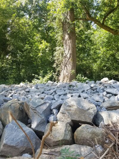 McAdenville Greenway Park - McAdenville, NC