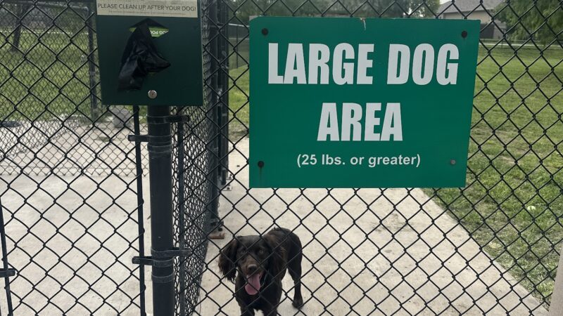 Tres Lagos Dog Park - McAllen, TX