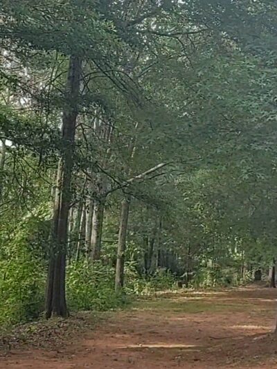 Alexander Park - McDonough, GA