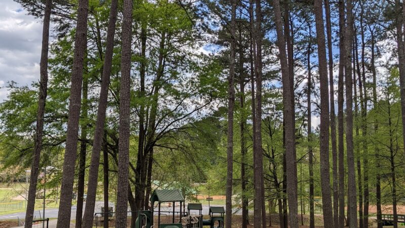 Alexander Park - McDonough, GA