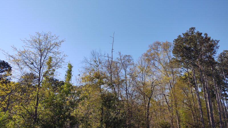 Alexander Park West - McDonough, GA