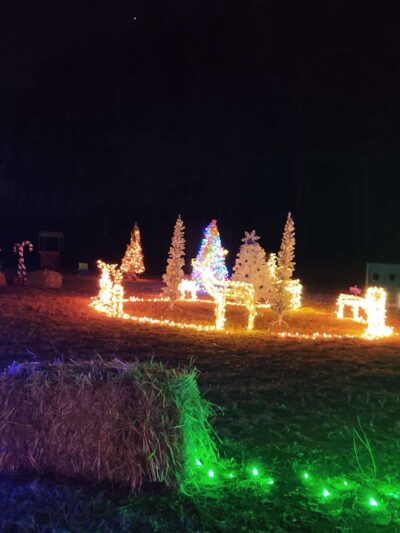 Alexander Park West - McDonough, GA