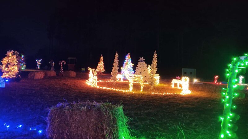 Alexander Park West - McDonough, GA