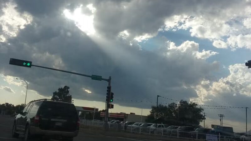 Torrance County Animal Shelter - McIntosh, NM