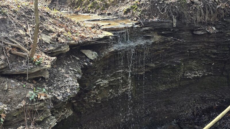 Dead Man’s Hollow Cool Spirit Trailhead - McKeesport, PA