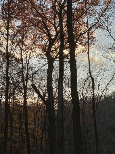 Dead Man’s Hollow Cool Spirit Trailhead - McKeesport, PA