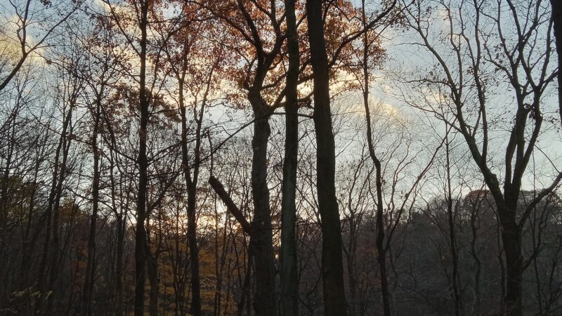 Dead Man’s Hollow Cool Spirit Trailhead - McKeesport, PA