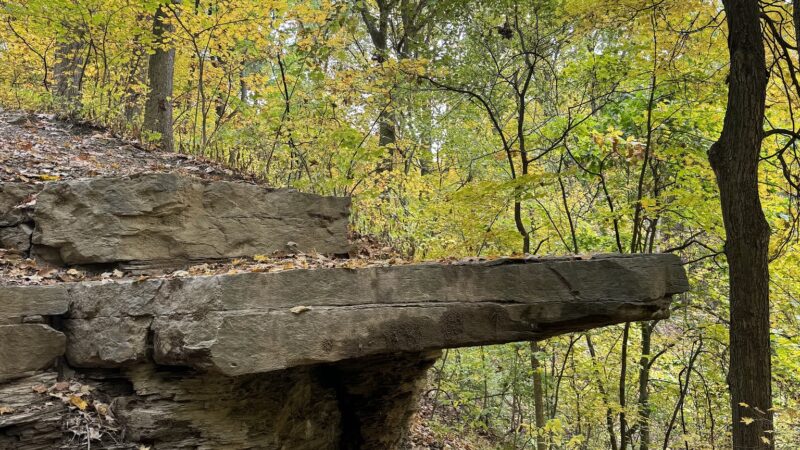 Dead Man’s Hollow Cool Spirit Trailhead - McKeesport, PA