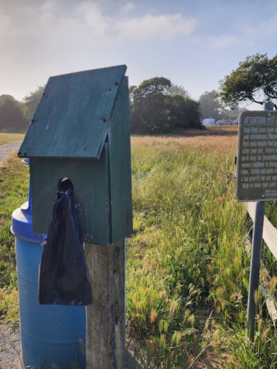 McKinleyville dog park - McKinleyville, CA