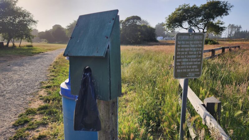 McKinleyville dog park - McKinleyville, CA