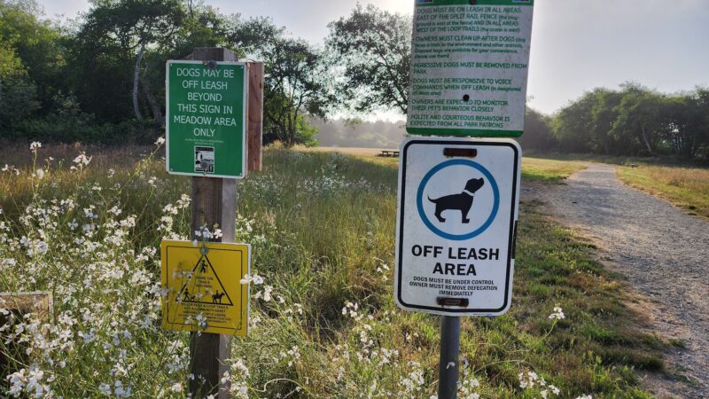 McKinleyville dog park - McKinleyville, CA