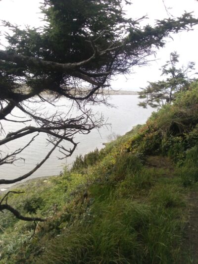 McKinleyville dog park - McKinleyville, CA