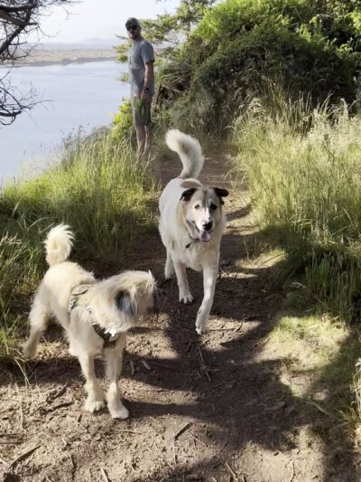 McKinleyville dog park - McKinleyville, CA