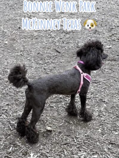 Bonnie Wenk Park Dog Park - McKinney, TX