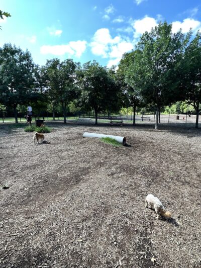 Bonnie Wenk Park Dog Park - McKinney, TX