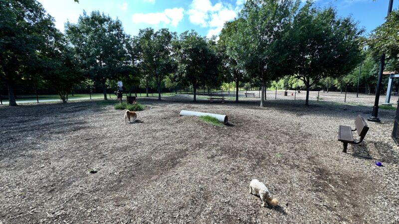 Bonnie Wenk Park Dog Park - McKinney, TX