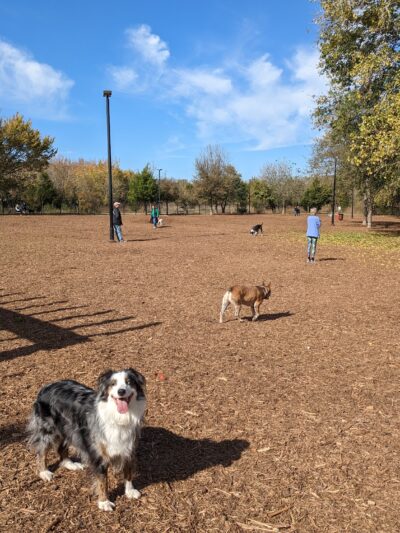 Bonnie Wenk Park Dog Park - McKinney, TX