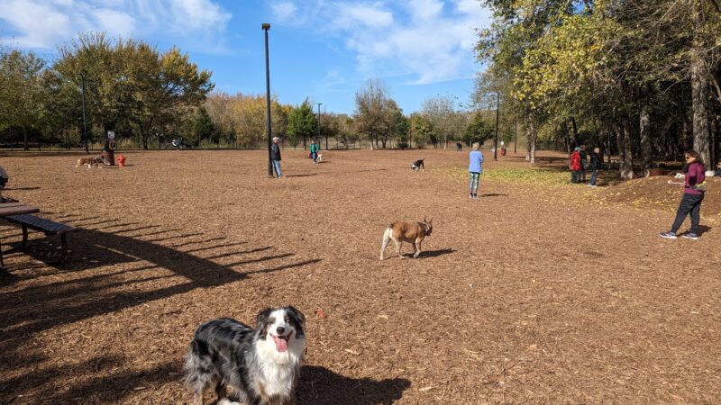 Bonnie Wenk Park Dog Park - McKinney, TX