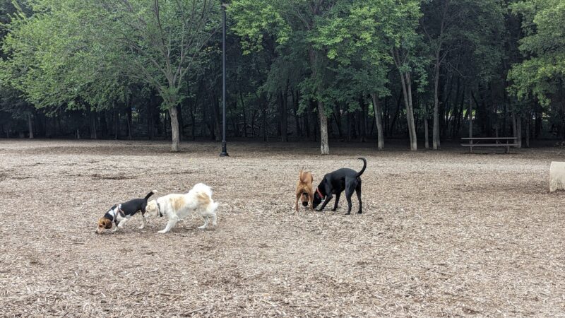Bonnie Wenk Park Dog Park - McKinney, TX