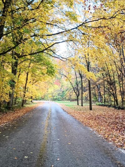 Funks Grove Nature Preserve - McLean, IL